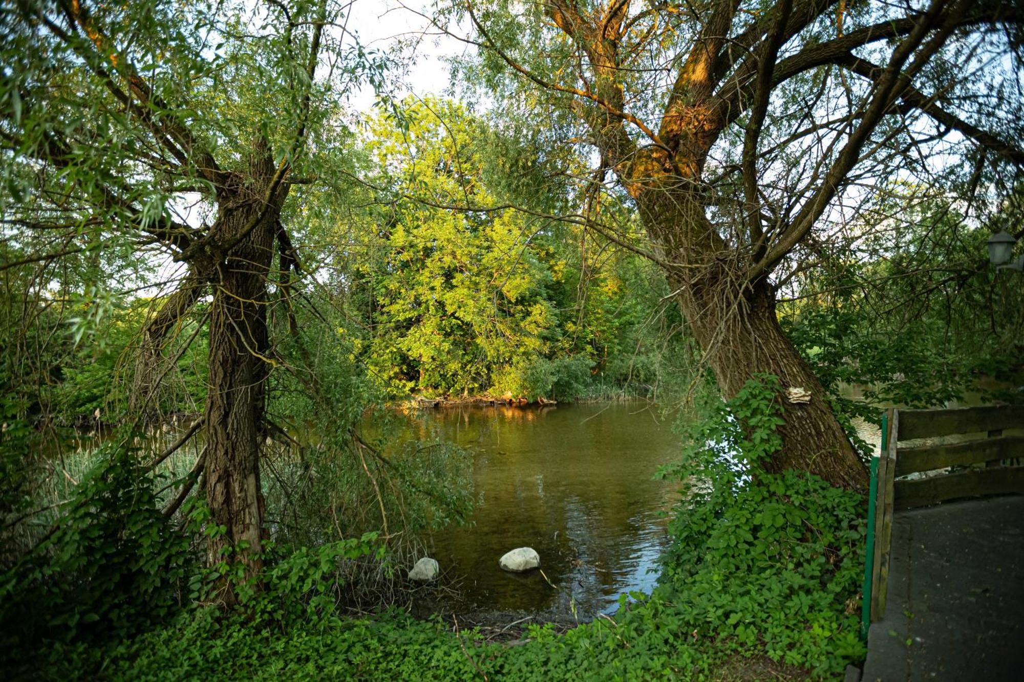 Zakatek River Райґруд Екстер'єр фото